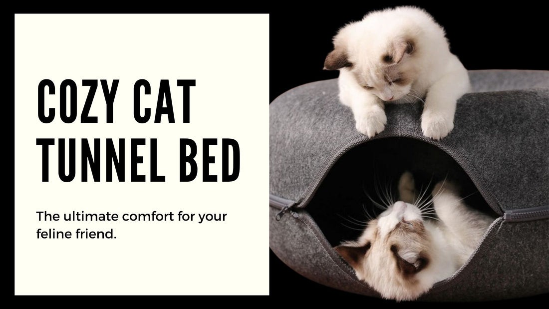 Introducing the Pinnacle of Cat Comfort: The Cozy Cat Tunnel Bed - RegalFeline